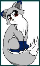 Sage - Small Gray Fox