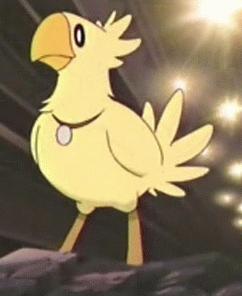 Tiko